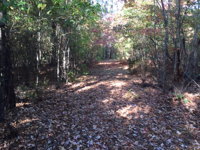 45 ac. tract